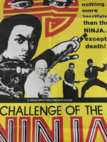 Challenge of the Lady Ninja Original One Sheet Movie Poster 1980 Shaw Brothers