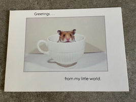 Vintage 1980's Argus Postcard Greetings from my Little World Gerbil Hamster Card