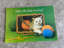 Vintage 1980's American Greeting Postcard What's the latest Mischief Kitten Card