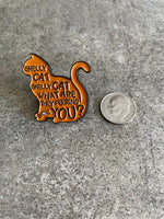 Friends Parody Smelly Cat Song Funny Lapel Pin Fur Mom Lady