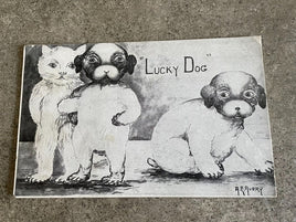 Rare Vintage 1909 Lucky Dog Cat Postcard A.E. Avery Fur Mom Gift Posted Card