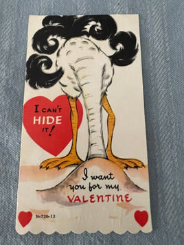 Vintage Ostrich in the Sand Can't Hide Valentines Day Card Early 1900's Die Cut