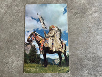 Rare Vintage 1959 Yellowstone Park Indian Chief Postcard Posted and Stamped Card